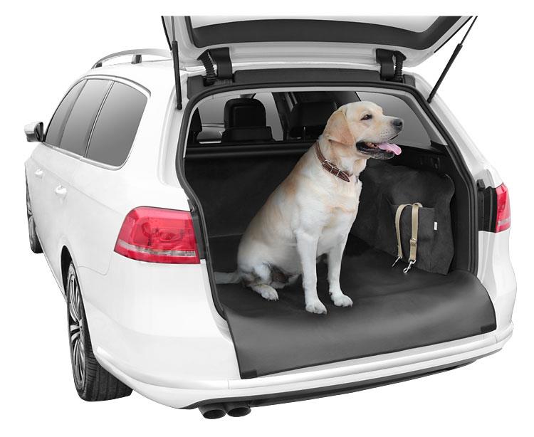 Picture of Dog car cover Dexter (eco-leather) size SUV