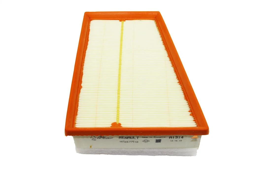 Picture of Air filter 165467751R 