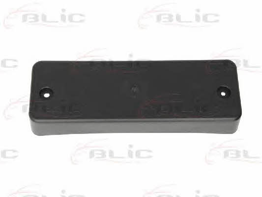 Picture of License Plate Bracket 6502073181920P 